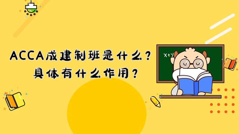 ACCA成建制班是什么？具体有什么作用？