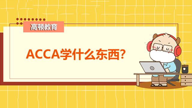 ACCA学什么