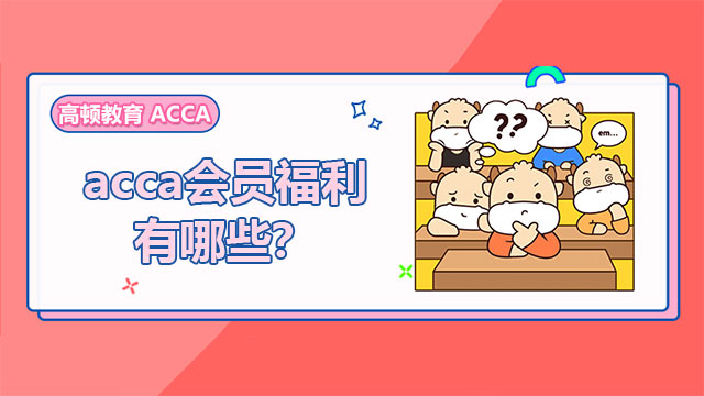 acca会员福利有哪些?