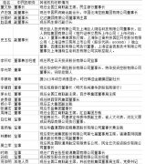 中国**民营投资公司，招聘优选ACCA